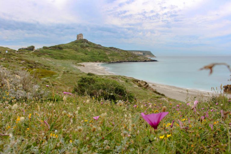De wilde westkust van Sardinië | Rapunzel wil eruit
