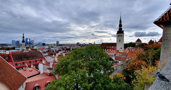 Wat moet je in 2019 in Tallinn hebben gezien? 5 plaatsen!