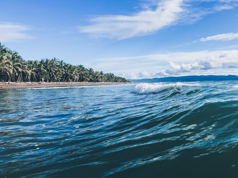In de pas met de golven en muggen – reisverslag Costa Rica – reisberichten