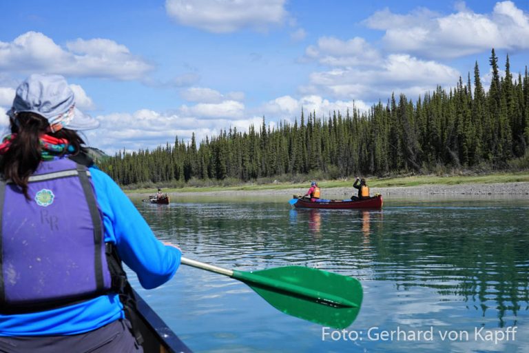 In het spoor van de Klondike-goudkoorts per kano – reisverslag Alaska – reisberichten