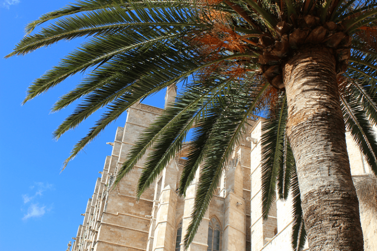 Mallorca – hoteltips en accommodaties – reisblog