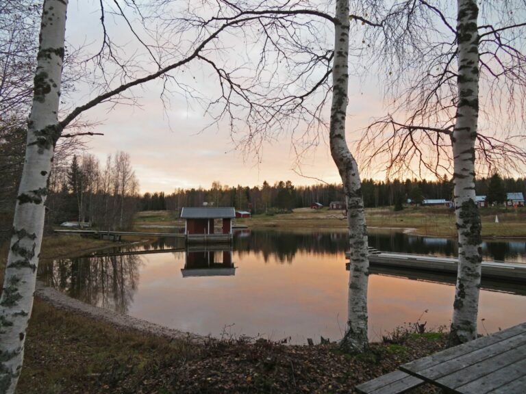 Een jaar in de pas met de natuur in Zweeds Lapland – Zweden reisverslag – reisverzendingen%