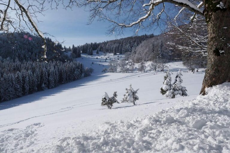 Zwabische Alb in de winter: 10 winterse excursiebestemmingen