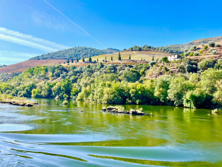 Riviercruise door de Dourovallei – genot voor geest en gehemelte – reisverslag Portugal – reisberichten