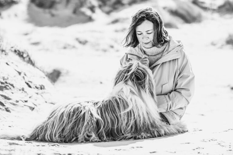 Kind van de wind |  Een hondenmisdaadthriller uit de Noordzee